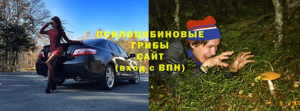 гидропоника Аркадак