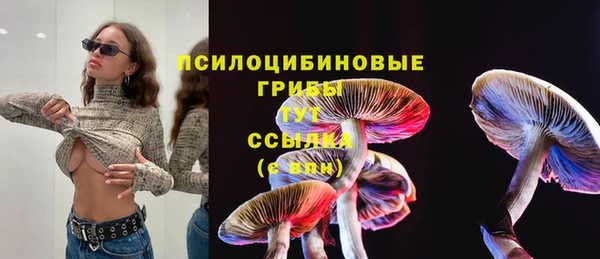 гидропоника Аркадак