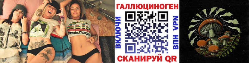 где найти   Макаров  Псилоцибиновые грибы Psilocybine cubensis 